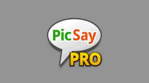 Mengenal-Aplikasi-PicSay-Pro